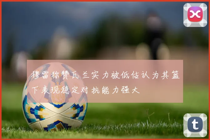 穆雷称赞瓦兰实力被低估认为其篮下表现稳定对抗能力强大