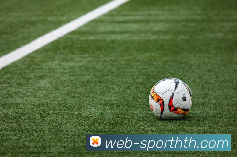 华体会体育平台生态图